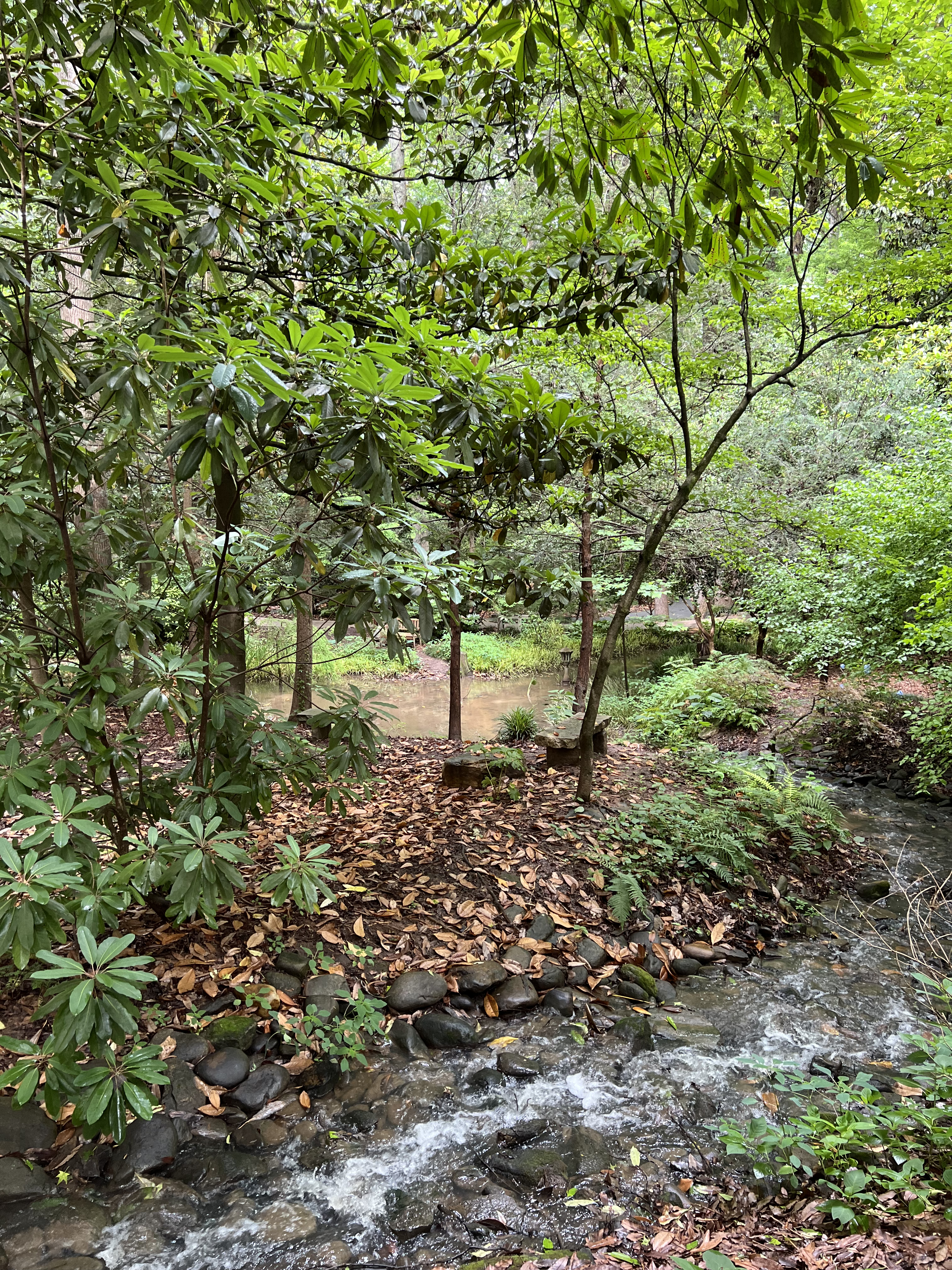 ./2024/07 - Gaffney/IMG_1504.jpg